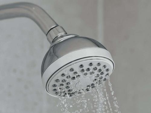 How to clean bacteria lives in your shower head
